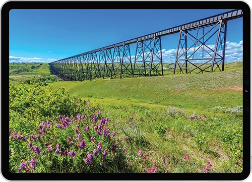 ALPHA+V3 website design, hosting, and WordPress maintenance in Lethbridge