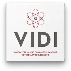 Vidi logo design